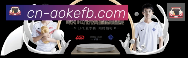 奖项4